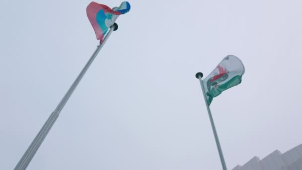 Diferentes banderas ondeadas por el viento en los polos altos bajo el cielo nublado — Vídeo de stock