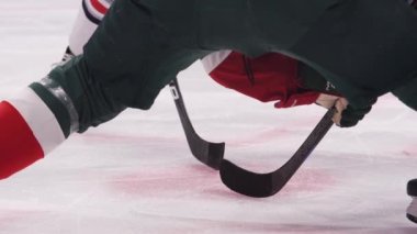 Profesyonel hokey oyuncuları buz arenasında puck için dövüşürler.