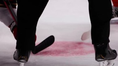 Yargıç buz arenasında oyuna başlamak için puck 'ı buza koydu.