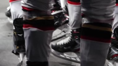 Buz patenli hokey oyuncuları buz arenasına gelin.