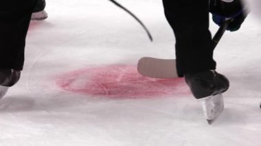 Buz arenasında hokey hakemi ve oyuncular puck için mücadele ediyor