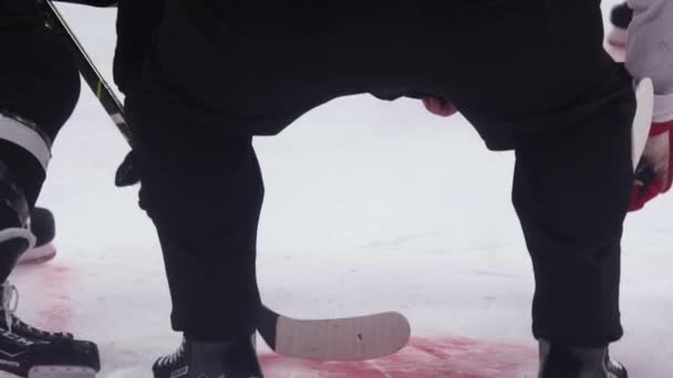 Il giudice mette il disco su ghiaccio per iniziare la lotta di giocatori di hockey — Video Stock