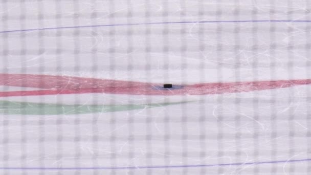 Jogador de hóquei rápido patina e leva disco na pista de gelo — Vídeo de Stock