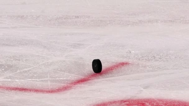 Árbitro de hockey quita patinaje de disco a lo largo de pista de hielo — Vídeos de Stock