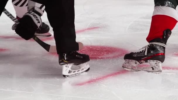Хокейні гравці б'ються за шайбу під контролем рефері на раковині — стокове відео