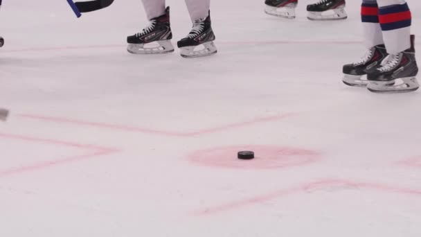 Участники хоккейной команды катаются мимо маленькой шайбы на ледовой арене — стоковое видео