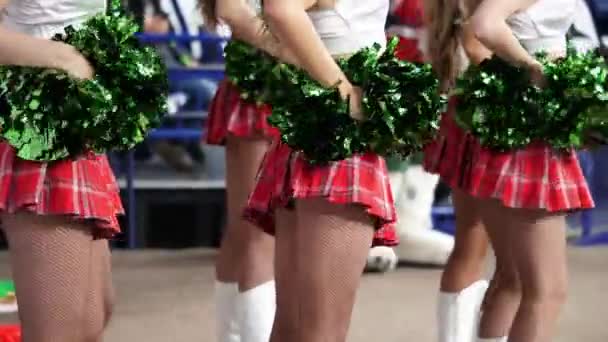 Women in short red checkered skirts dance at hockey game — Stock Video