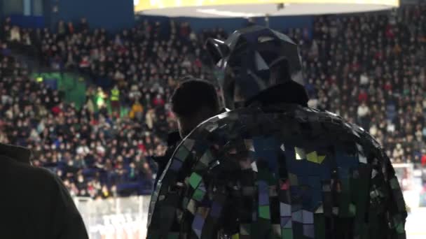 Pantera mascote de hóquei em trajes brilhantes fica perto da pista de gelo — Vídeo de Stock