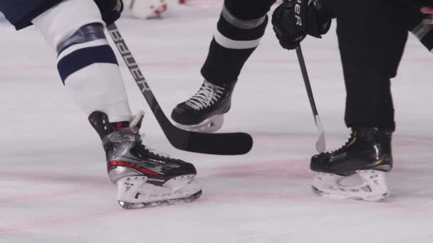 Les joueurs de hockey attendent pendant que l'arbitre lance la rondelle sur la patinoire — Video