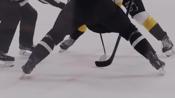 Начало хоккейной игры с шайбой положить в судье на каток — стоковое видео
