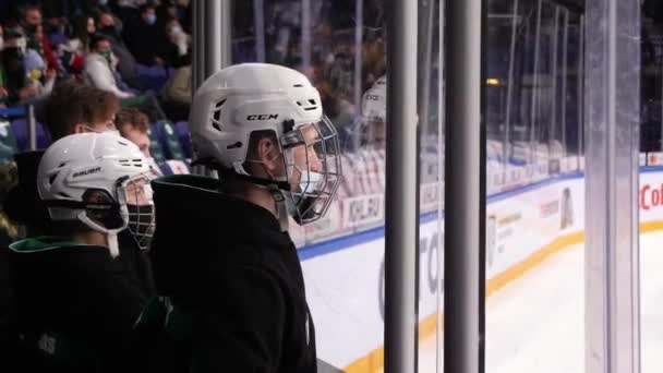 Adolescentes en cascos de hockey ver torneo en el estadio — Vídeos de Stock