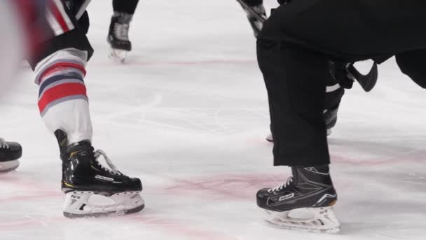 Scheidsrechter gooit puck en hockey spelers beginnen te vechten op de ijsbaan — Stockvideo