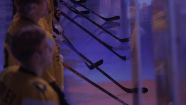 A hoki csapat játékosai botokkal csapolják a jeget a sport show alatt — Stock videók