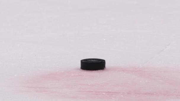 Hokejový Rozhodčí Bere Puk Bruslení Podél Ledové Arény Během Sportovní — Stock video