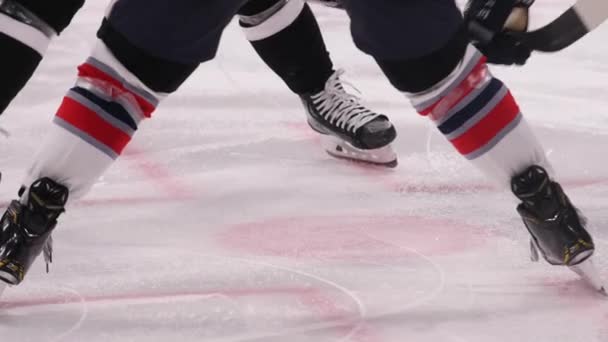 Skilled Hockey Players Kick Puck Sticks Ice Arena League Championship — Stock Video