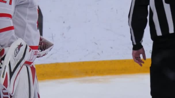 Portero Con Casco Disco Árbitro Después Gol Arena Hielo Durante — Vídeos de Stock