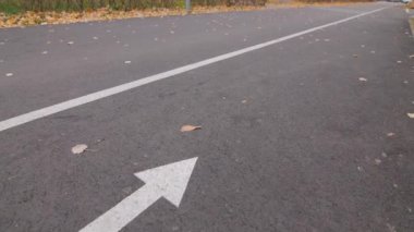 Boş asfalt bisiklet yolu, ok yönünde işaretleyici, sakin bir sonbahar parkında, sarı yapraklar yakın görüşte.