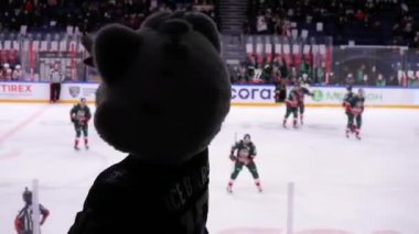 KAZAN, TATARSTAN RUSSIA - 14 Mayıs 2021: Kar panteri kostümlü hokey takımı maskotu, Kazan Stadyumu 'nda 14 Mayıs' ta oynanan maçta oyuncuları destekleyen dans gösterisi yaptı.