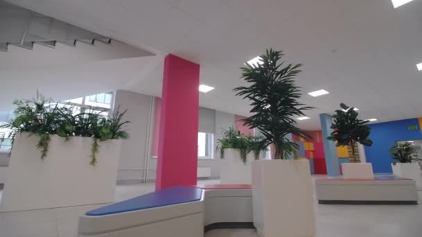 Foyer Com Plantas Sala Exuberantes Cores Brilhantes Nas Paredes Elegante — Vídeo de Stock