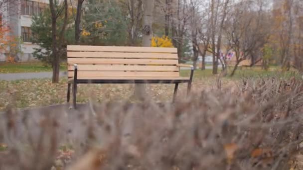 Leere Holzbank Kleinem Park Mit Herabgefallenem Laub Auf Rasenflächen Gegen — Stockvideo