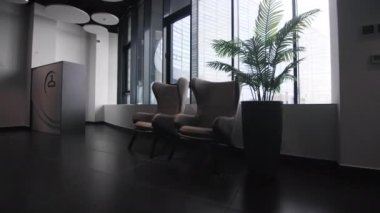 Soyunma odasının soyunma odasının penceresinin yanında şık koltuklar ve saksılı palmiye ağaçları. Minimalist iç tasarım