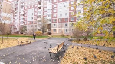 KAZAN, TATARSTAN RUSSIA - 09 Ekim 2022: Olgun kadın İskandinav yürüyüşü yaparken, güvercinler parlak sarı yapraklarla kaplı olarak 09 Ekim 'de Kazan' da dinleniyor.