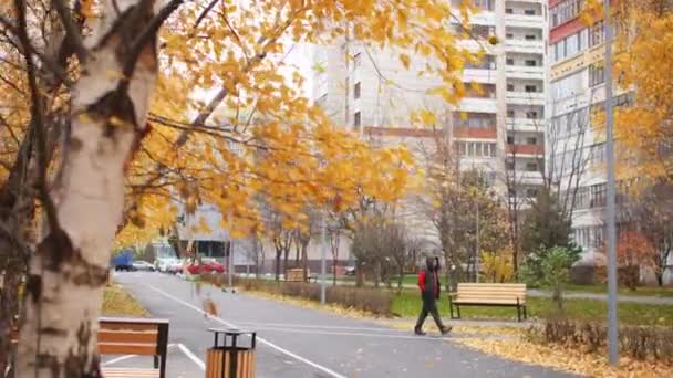 Kazan Tatarstan Russi Ekim 2021 Sarı Sonbahar Ağaçları Asfalt Yollu — Stok video