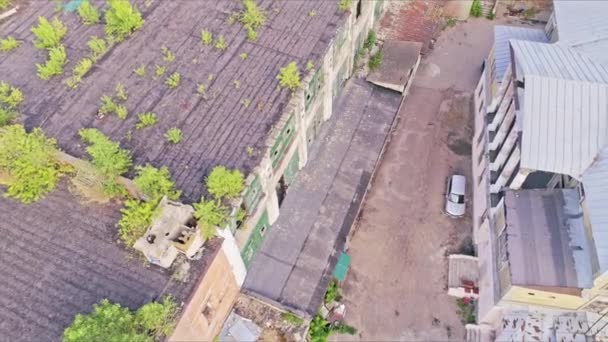タタールスタン ロシア カザン 2021年7月6日 日没時に屋根の上に緑の茂みを持つ解体された生産工場のワークショップ 7月6日花山古株 — ストック動画