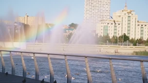 Möwen Fliegen Der Nähe Von Springbrunnen Und Hellem Regenbogen Zeitlupe — Stockvideo