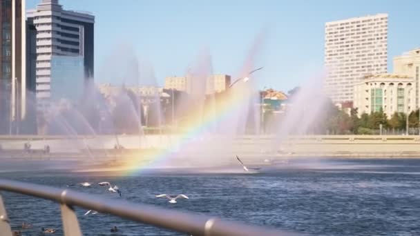 Regenbogen Und Möwen Der Nähe Eines Erstaunlichen Brunnens Über Dem — Stockvideo