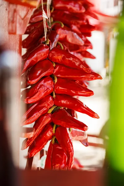 Paprika Nahaufnahme — Stockfoto