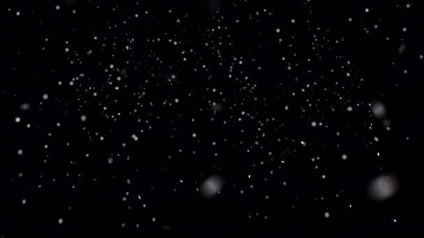 Gedeocaliseerde Blauwachtige Sneeuwvlokken Dwarrelen Gloeien Zwarte Achtergrond Sneeuw Overlay Alfa — Stockvideo