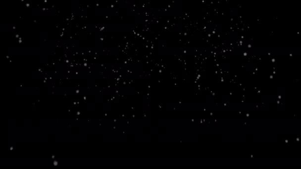 Fiocchi Neve Sfocati Azzurrati Vorticano Brillano Sfondo Nero Sovrapposizione Neve — Video Stock