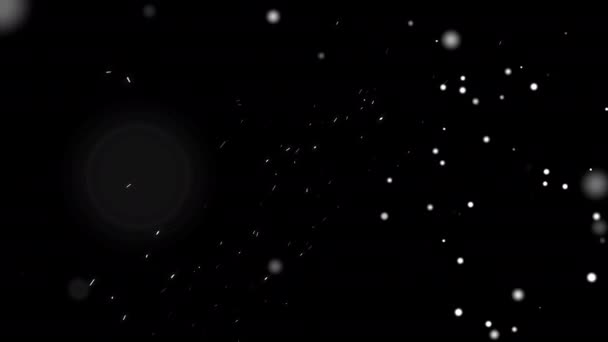 黒を背景に雪片が渦巻き 輝きを放ちます 4Kで雪のオーバーレイ アルファチャンネル クリスマス雪が黒い背景に降っています 風で動く雪の結晶 — ストック動画
