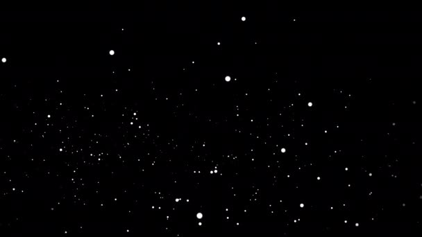 青い雪の結晶が漂流し 黒い背景に輝きます 4Kで雪のオーバーレイ アルファチャンネル 雪の渦 黒を背景に雪 — ストック動画