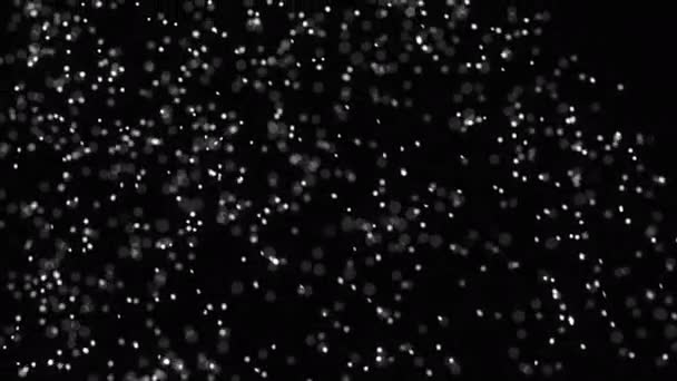 Odaklanamayan Maviye Boyanmış Kar Taneleri Siyah Arka Planda Dönüp Parlıyor — Stok video