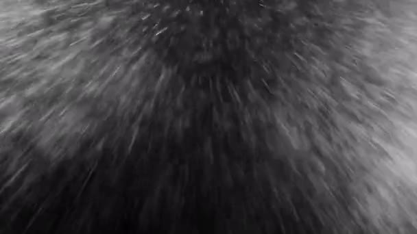 Neve Neve Grossolana Caoticamente Movimng Verso Fotocamera Canale Alfa — Video Stock