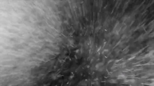 Neve Neve Grossolana Caoticamente Movimng Verso Fotocamera Canale Alfa — Video Stock