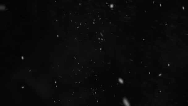 大小の雪の雪片が渦巻くと黒を背景に輝きます クリスマスプロジェクトの冬のお祝いの雪のオーバーレイ — ストック動画
