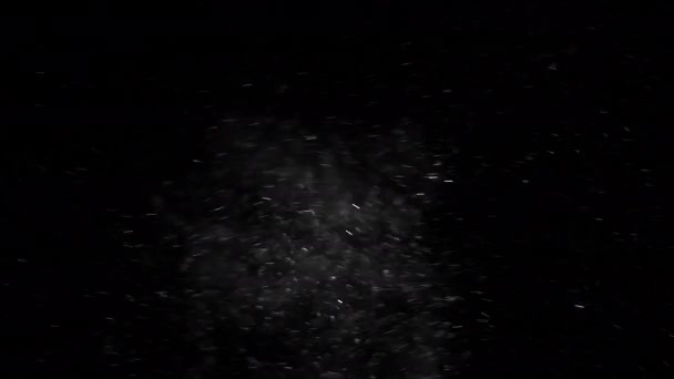 Des Flocons Neige Grands Petits Tourbillonnent Scintillent Sur Fond Noir — Video