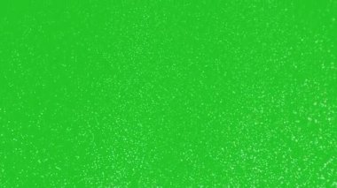Chroma Key arka planında kar taneleri. Yeşil ekranda yavaşça düşen 4K animasyonu