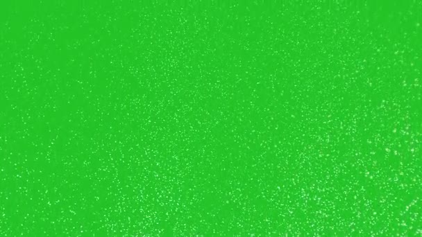 Schneeflocken Auf Chroma Key Hintergrund Schnee Fällt Langsam Animation Auf — Stockvideo