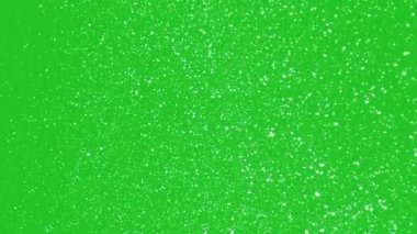 Chroma Key arka planında kar taneleri. Yeşil ekranda yavaşça düşen 4K animasyonu