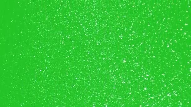 Chroma Key Arka Planında Kar Taneleri Yeşil Ekranda Yavaşça Düşen — Stok video