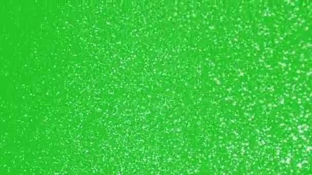 Snowflakes Chroma Key Background Snow Falling Slowly Animation Green Screen — Stock Video