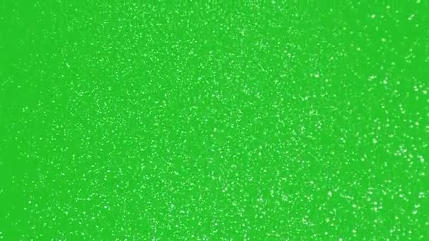 Snowflakes Chroma Key Background Snow Falling Slowly Animation Green Screen — Stock Video