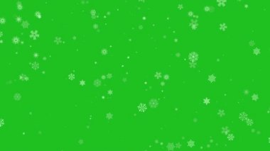 Chroma Key arka planında kar taneleri. Yeşil ekranda yavaşça düşen 4K animasyonu