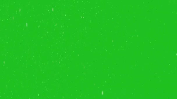 Flocons de neige sur fond Chroma Key. Neige tombant lentement animation 4K sur l'écran vert