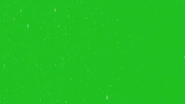 Snöflingor Chroma Key Bakgrund Snö Faller Ner Långsamt Animation Grön — Stockvideo