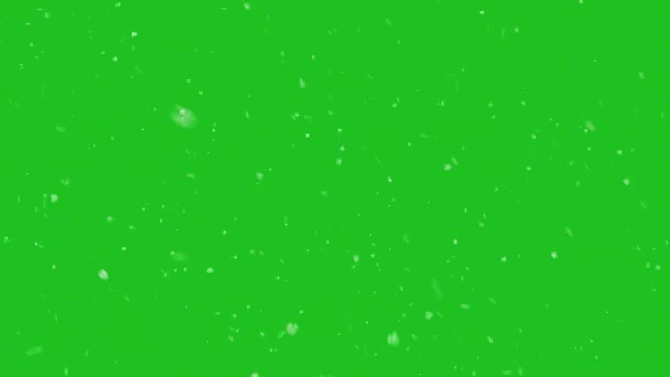 Flocos Neve Fundo Chroma Key Neve Caindo Lentamente Animação Tela — Vídeo de Stock